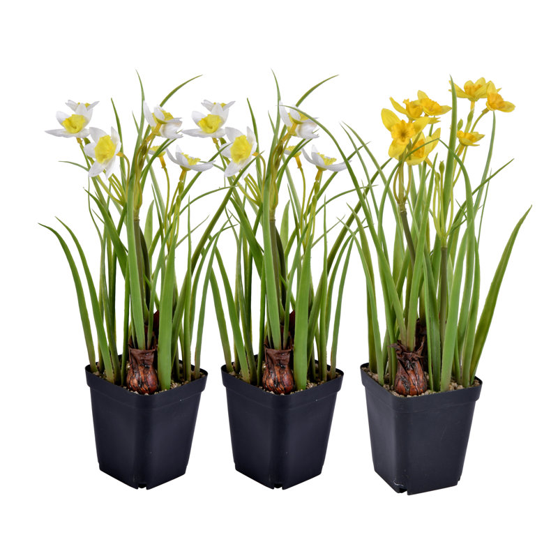 Rosalind Wheeler Daffodil Floral Arrangement in Pot & Reviews Wayfair